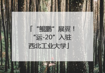 “鲲鹏”展翼！“运-20”入驻西北工业大学