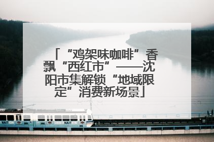 “鸡架味咖啡”香飘“西红市”——沈阳市集解锁“地域限定”消费新场景