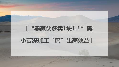 “黑家伙多卖1块1！”黑小麦深加工“磨”出高效益