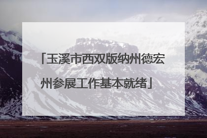玉溪市西双版纳州德宏州参展工作基本就绪