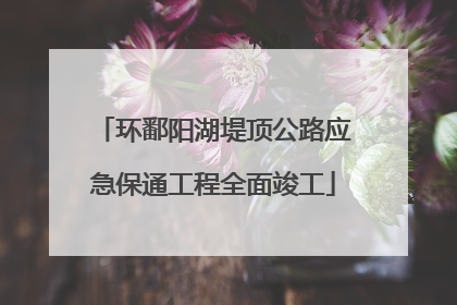 环鄱阳湖堤顶公路应急保通工程全面竣工