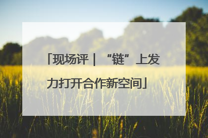 现场评｜“链”上发力打开合作新空间