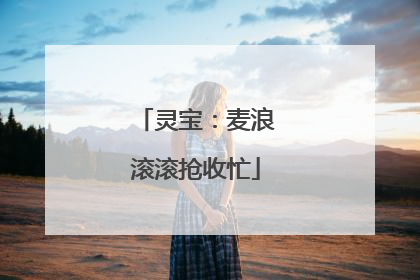 灵宝：麦浪滚滚抢收忙