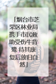 烟台市芝罘区林业局携手市民救助受伤牛背鹭 待其康复后放归自然