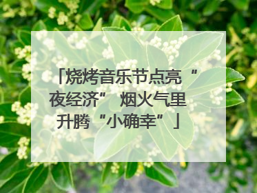烧烤音乐节点亮“夜经济” 烟火气里升腾“小确幸”