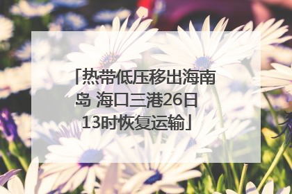 热带低压移出海南岛 海口三港26日13时恢复运输