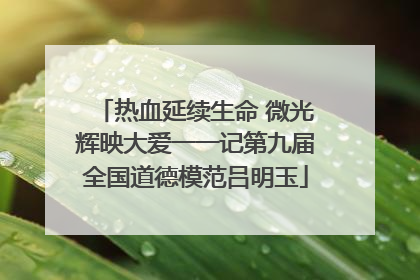 热血延续生命 微光辉映大爱一一记第九届全国道德模范吕明玉