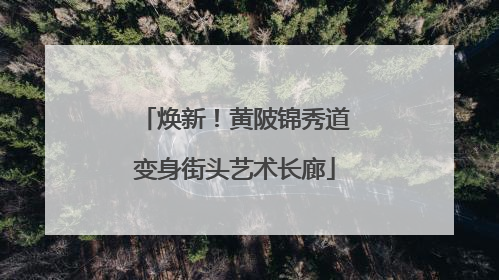 焕新！黄陂锦秀道变身街头艺术长廊