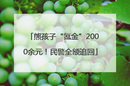 熊孩子“氪金”2000余元！民警全额追回