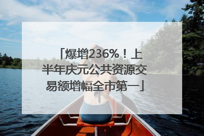 爆增236%！上半年庆元公共资源交易额增幅全市第一
