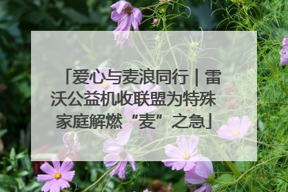 爱心与麦浪同行｜雷沃公益机收联盟为特殊家庭解燃“麦”之急