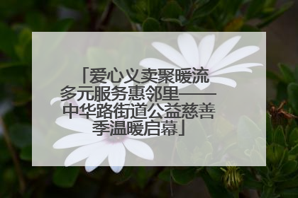 爱心义卖聚暖流 多元服务惠邻里——中华路街道公益慈善季温暖启幕