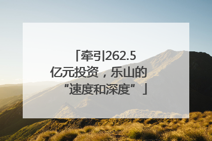 牵引262.5亿元投资，乐山的“速度和深度”