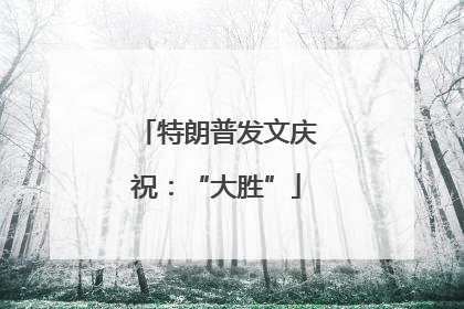 特朗普发文庆祝：“大胜”