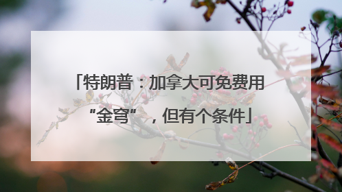 特朗普：加拿大可免费用“金穹”，但有个条件