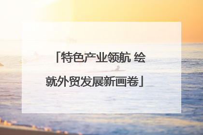 特色产业领航 绘就外贸发展新画卷