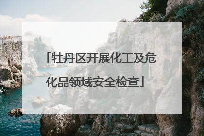 牡丹区开展化工及危化品领域安全检查