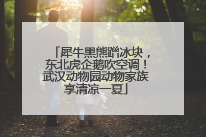 犀牛黑熊蹭冰块，东北虎企鹅吹空调！武汉动物园动物家族享清凉一夏