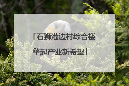 石狮港边村综合楼擎起产业新希望