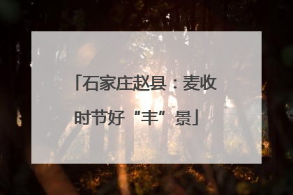石家庄赵县：麦收时节好“丰”景