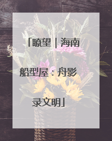 瞭望｜海南船型屋：舟影录文明