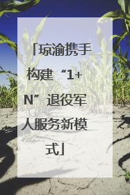 琼渝携手构建“1+N”退役军人服务新模式