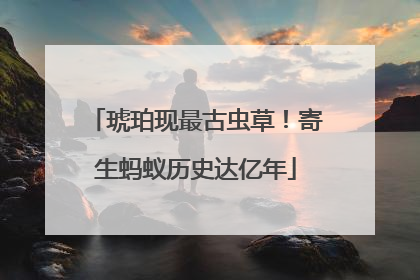 琥珀现最古虫草！寄生蚂蚁历史达亿年