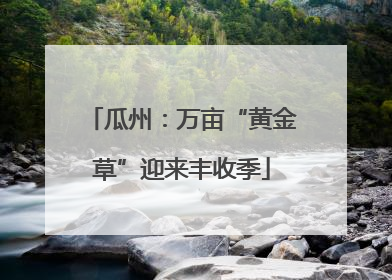 瓜州：万亩“黄金草”迎来丰收季