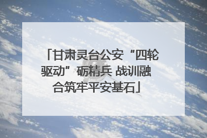 甘肃灵台公安“四轮驱动”砺精兵 战训融合筑牢平安基石