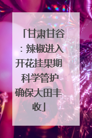 甘肃甘谷：辣椒进入开花挂果期 科学管护确保大田丰收