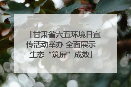 甘肃省六五环境日宣传活动举办 全面展示生态“筑屏”成效