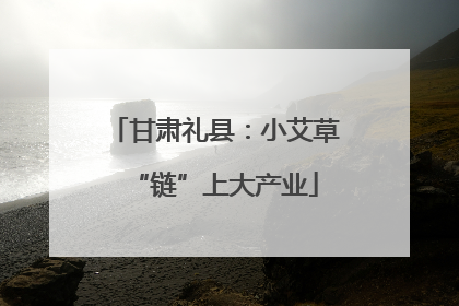 甘肃礼县：小艾草“链”上大产业