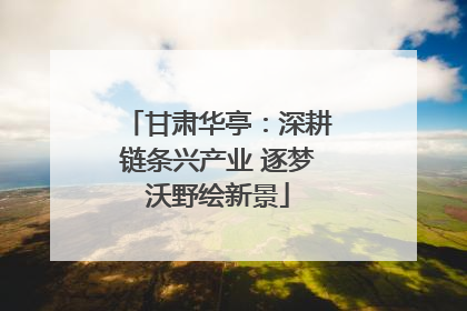 甘肃华亭：深耕链条兴产业 逐梦沃野绘新景