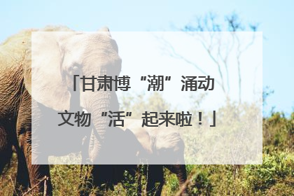 甘肃博“潮”涌动 文物“活”起来啦！