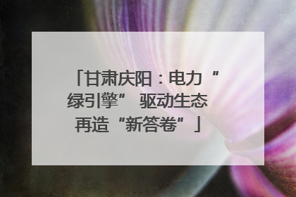 甘肃庆阳：电力“绿引擎” 驱动生态再造“新答卷”