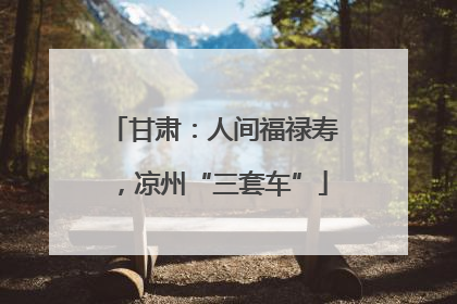 甘肃：人间福禄寿，凉州“三套车”