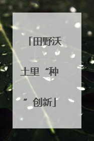 田野沃土里“种”创新