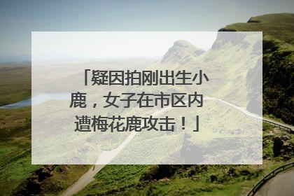 疑因拍刚出生小鹿，女子在市区内遭梅花鹿攻击！