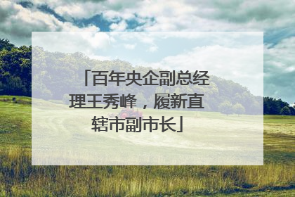 百年央企副总经理王秀峰，履新直辖市副市长