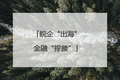 皖企“出海” 金融“撑腰”