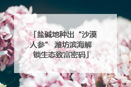 盐碱地种出“沙漠人参” 潍坊滨海解锁生态致富密码