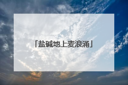 盐碱地上麦浪涌