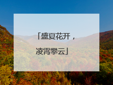 盛夏花开，凌霄攀云