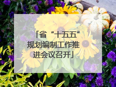 省“十五五”规划编制工作推进会议召开