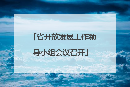 省开放发展工作领导小组会议召开
