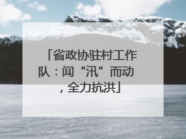 省政协驻村工作队：闻“汛”而动，全力抗洪