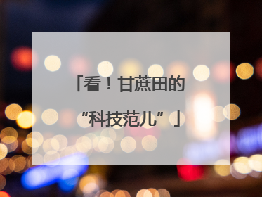 看！甘蔗田的“科技范儿”