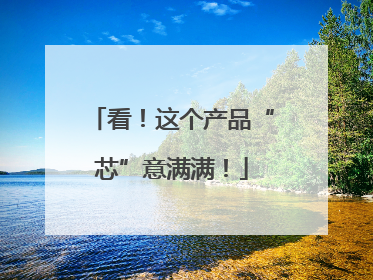 看！这个产品“芯”意满满！