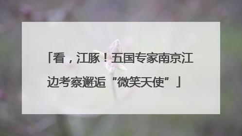 看，江豚！五国专家南京江边考察邂逅“微笑天使”