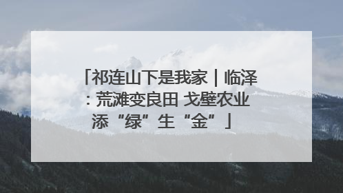 祁连山下是我家｜临泽：荒滩变良田 戈壁农业添“绿”生“金”